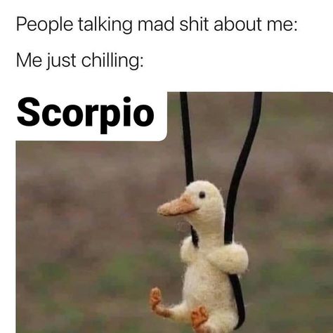 Scorpio Memes Funny, Carla Vibes, Scorpio Meme, Scorpio Things, Scorpio Funny, Scorpio Love, Funny Cartoon Pictures, Introvert Humor, Sarcasm Only