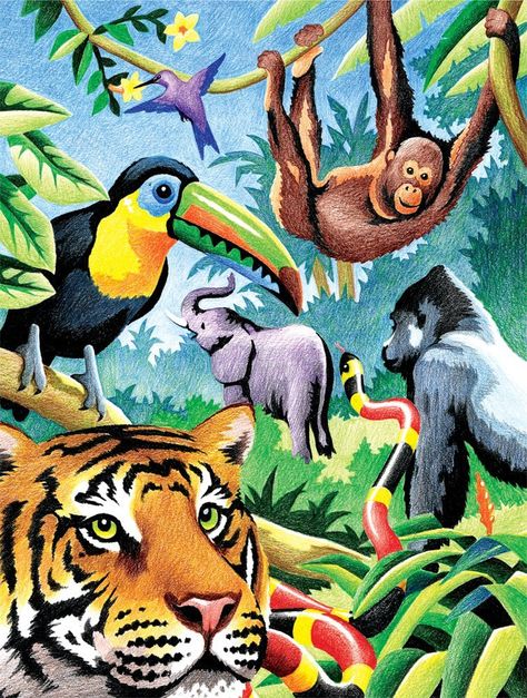 Jungle Drawing, Jungle Animal Art, Zoo Crafts, Jungle Scene, Jungle Illustration, Jungle Art, Colour Pencil, Animal Posters, Animal Sketches