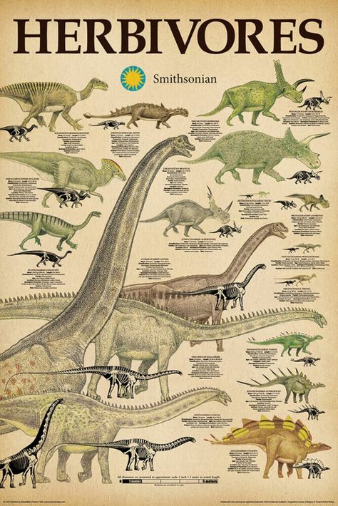 PRICES MAY VARY. Title: Buyartforless Smithsonian Herbivores Dinosaurs 36x24 Educational Art Print Poster, Multicolored. Product Type: Categories > Wall Art > Posters & Prints Dinosaurs Names, Dinosaur Plant, Dinosaur Facts, Collage Des Photos, Escape The Night, Dinosaur Posters, Dinosaur Wall Art, Paleo Art, Poster Room