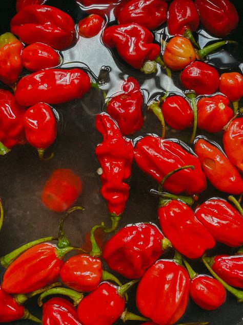 Red pepper in water Bonnet Drawing, Congolese Food, Healing Gut, Godzilla Monsters, Scotch Bonnet Pepper, All Godzilla Monsters, Scotch Bonnet, Cooking Recipe, The Avengers