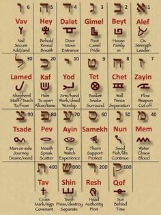 Ancient Hebrew Alphabet, Learn Hebrew Alphabet, Hebrew Vocabulary, Paleo Hebrew, Aleph Bet, Hebrew Lessons, Biblical Hebrew, Hebrew Roots, Hebrew Alphabet