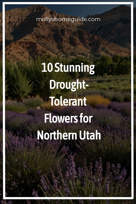 Discover the best flowers for Northern Utah gardens! Explore a variety of waterwise and drought-tolerant flowers that thrive in this region. Whether you're looking for perennial or annual plants, we've got you covered with recommendations on the top plants for Northern Utah landscapes. From vibrant blooms to versatile greenery, create a stunning garden that suits the unique climate of Northern Utah. Embrace these resilient and beautiful plants to elevate your outdoor space effortlessly. Utah Native Plants Front Yards, Utah Plants, Utah Landscaping, Waterwise Landscaping, Utah Landscape, Landscaping On A Hill, Flowers To Plant, Northern Utah, Sustainable Landscaping