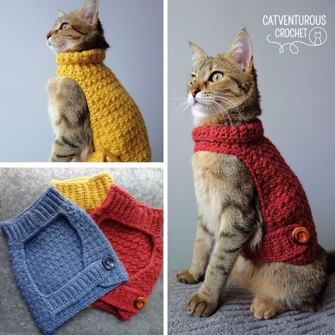 Available for free at Catventurous Crochet on YouTube. Catventurous Crochet: Simple and fun crochet patterns for #fashionablycatventurous kitties. @catventurous.crochet Supermeowdel: Melba @catventurepussmelba Cat Sweater Pattern, Fun Crochet Patterns, Cat Hat Pattern, Gato Crochet, Crochet Dog Clothes, Chat Crochet, Crochet Cat Hat, Crochet Dog Sweater, Crochet Cat Pattern