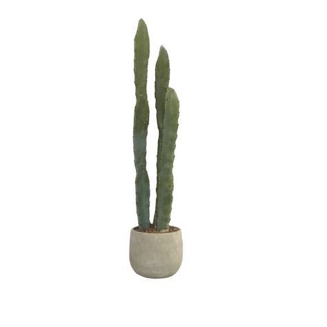 Large faux cactus in a concrete container.brbrPricing reflects rental rate per piece. Large Cactus, Concrete Containers, Faux Cactus, Bar Shelf, South Texas, Vintage Rentals, Texas Wedding, Wedding Weekend, Cacti And Succulents