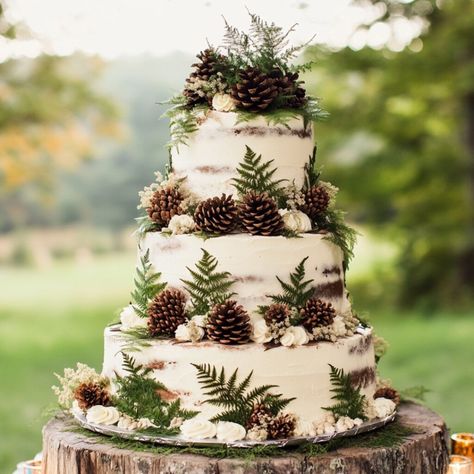 Rustic Mountain Wedding Cake, Aspen Tree Cake, Nature Wedding Cakes, Antler Wedding Cake, Forest Wedding Cakes, Nature Wedding Cake, Birch Bark Cake, Forest Theme Wedding Cake, Wedding Cake Nature