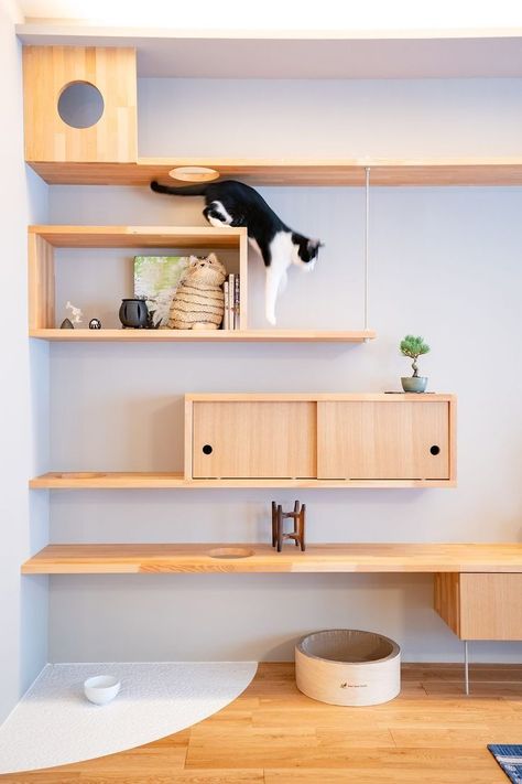 Katt Diy, Cat Room Decor, Cat Climbing Wall, Katt Grejer, Cat Furniture Design, Pet Room, Cat Area, Separate Room, Cat Wall Shelves