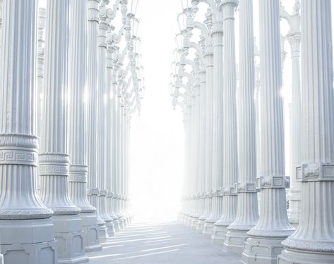 White Columns, white pillars #Aero #White #Open #White #Light #Perspective #Building #Columns #Construction #Hall #Classic #High #Architecture #Bright #Structure #Historic #Interior #corridor #ancient #Elegant #Greek #Antique #Hallway #Nobody #geometric #2K #wallpaper #hdwallpaper #desktop Roman Columns, White Background Photo, Original Wallpaper, Public Domain Images, White Wallpaper, White Walls, Background Design, Free Photos, Cryptocurrency