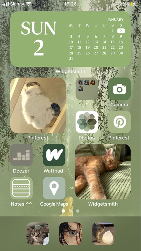 Icons Cats, Home Screen Inspo, Ios14 Aesthetic, Iphone Theme, Iphone Homescreen, Homepage Design, Phone Design, Cat Aesthetic, Home Screen