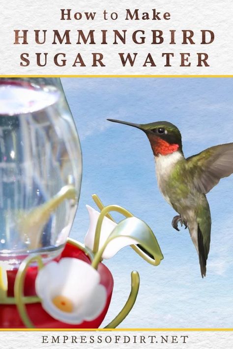 Hummingbird Food Recipe Small Batch, Hummingbird Food Recipe No Boil, Hummingbird Mixture, Hummingbird Sugar Water, Hummingbird Recipe, Hummingbird Food Recipe, Hummingbird Mix, Sugar Water For Hummingbirds, Make Hummingbird Food