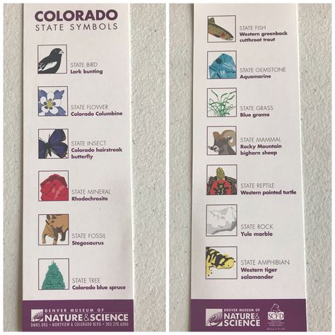 Colorado State Symbols, Colorado Symbols, Western Painted Turtle, Kindergarten Montessori, Rocky Mountains Colorado, Denver Museums, Nature Science, Painting References, State Symbols