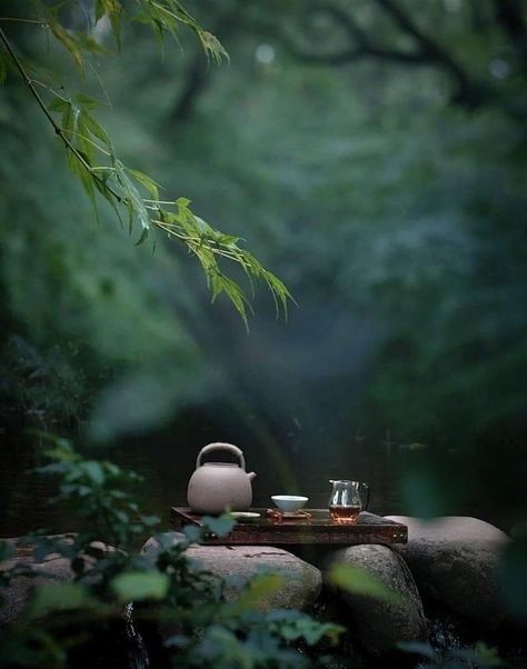 Japanese Tea Aesthetic, Zen Garden Aesthetic, Green Tea Aesthetic, Zen Aesthetic, Tea Wallpaper, Indochine Style, Zen Tea, Japanese Tea Garden, Best Green Tea