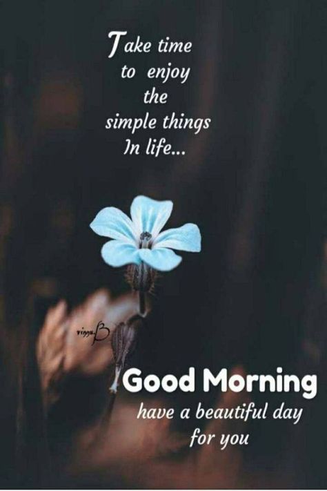 Take time to enjoy the simple things in life ❄️🤎❄️ #Good_Morning Gd Mrng, Morning Sayings, Daily Wishes, Morning Msg, Lovely Morning, Positive Good Morning Quotes, Good Morning Sweetheart Quotes, Good Morning Happy Sunday, Good Morning Love Messages