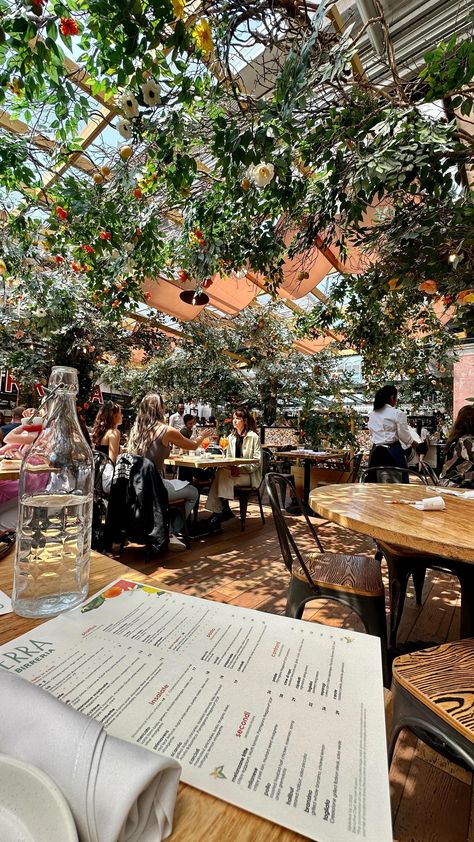 Lunch amidst lemon trees and vibrant colors, reminiscent of the gorgeous Amalfi Coast! 🍋🍋 📍SERRA By Birreria, Eataly NYC Flatiron Eataly Nyc, Little Italy Nyc, New York City Pictures, City Picture, Nyc Spring, Nyc City, Lemon Trees, Ny Trip, Farm Store