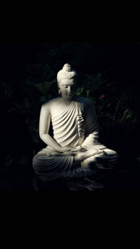 Download Buddha Purnima wallpaper by guptaram - 8b - Free on ZEDGE™ now. Browse millions of popular baddha jayanti Wallpapers and Ringtones on Zedge and personalize your phone to suit you. Browse our content now and free your phone Happy Buddha Purnima, Buddha Purnima, Buddha Teachings, Happy Buddha, Buddha Quotes, Find Peace, Zen Art, Iphone And Ipad, For Desktop