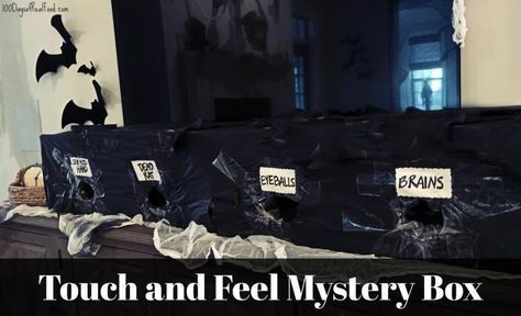 Mystery Feel Box Halloween, Halloween Feel Box Ideas, Halloween Mystery Touch And Feel Game, Halloween Touch And Feel Boxes, Halloween Mystery Box Ideas, Haunted Classroom, Haunted Hallway, Mystery Box Ideas, Zombie Halloween Party