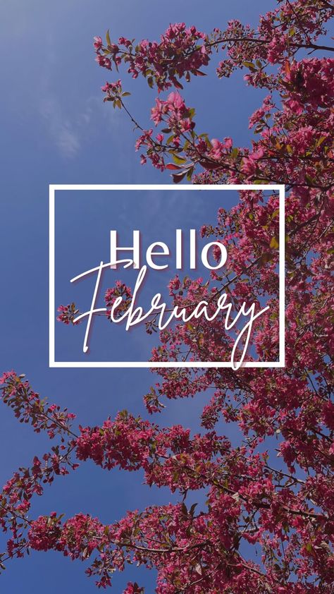 it may still be winter but spring is around the corner ;)) #aesthetic #instagram #inspiration #story #flowers #february #hello #wallpaper February Instagram Story, Insta Story, Instagram Story, Instagram