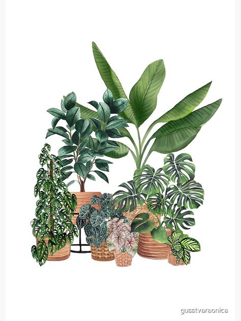 Plants Illustration, Plant Installation, Plant Art Print, Hawaiian Art, Balcony Plants, Buy House, Flowery Wallpaper, Plant Aesthetic, Plant Painting