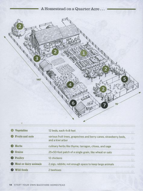 This is a link to a pdf for homestead on 1/2 acre.  Pretty cool idea! Backyard Homestead, Homestead Layout, Acre Homestead, Farm Plans, Homestead Farm, Farm Layout, Future Farms, Homestead Gardens, Urban Homesteading