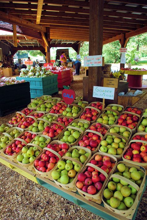 Hendersonville North Carolina, Apple Farm, Nc Mountains, Hendersonville Nc, Carolina Girl, North Carolina Mountains, North Carolina Homes, Western North Carolina, Farm Stand