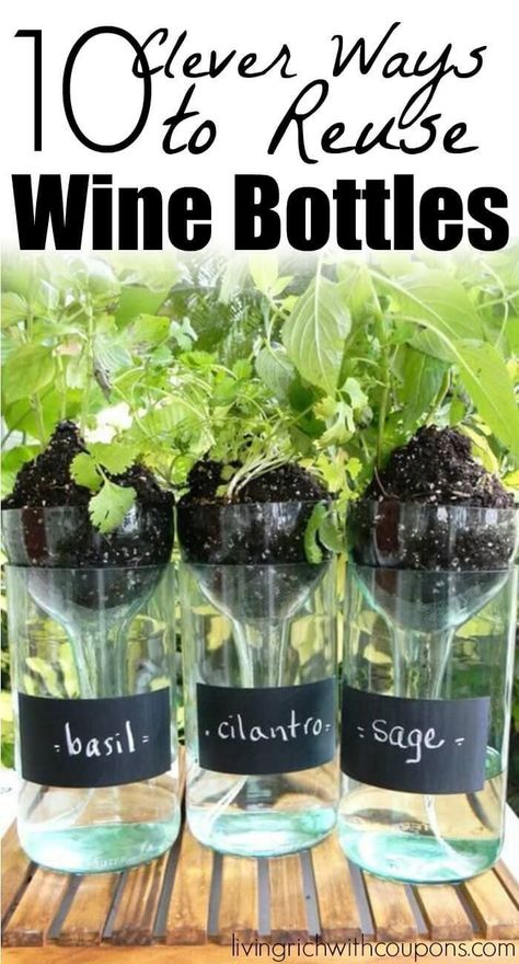 Reusable Crafts, Diy Garden Gifts, Plant Advice, Repurposed Bottles, Wine Bottle Garden, Reuse Wine Bottles, Wine Bottle Project, Bottles Diy, Old Wine Bottles