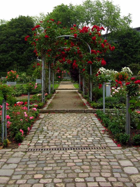 French Garden Design, Front Yard Decor, House Main Gates Design, Walkways Paths, Large Flower Arrangements, Modern Backyard Landscaping, Garden Canopy, Sloped Garden, Garden Park