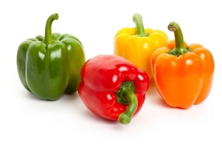 Sugar Gliders can eat a lot of things, but are bell peppers one of these things? I did some research to find out! Bell Pepper Benefits, Pot Gantung, Types Of Peppers, Dog Diet, Pepper Seeds, Sugar Glider, Stuffed Sweet Peppers, Fruit And Veg, Bell Peppers