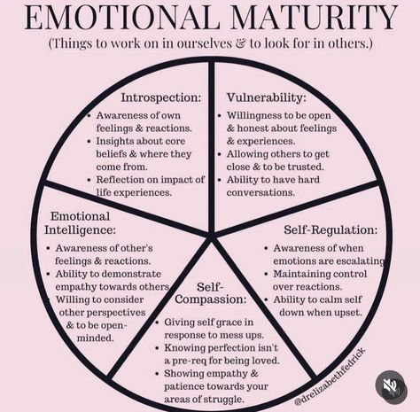 Emotional Maturity, Understanding Emotions, Mental Health Facts, In Relationship, Mental Health Therapy, Core Beliefs, Emotional Awareness, Therapy Worksheets, Self Regulation