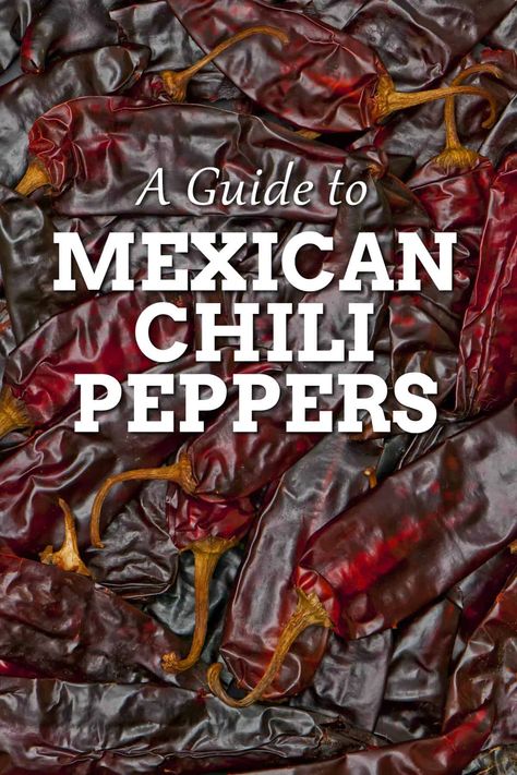 Dried Chiles Guide, Chilli Pepper Madness, Recipes Using Dried Chili Peppers, Chili With Dried Peppers, What To Do With Dried Peppers, Recipes With Dried Chili Peppers, Dried Chili Peppers Recipes, Chili Peppers Recipes, Dry Chili Peppers