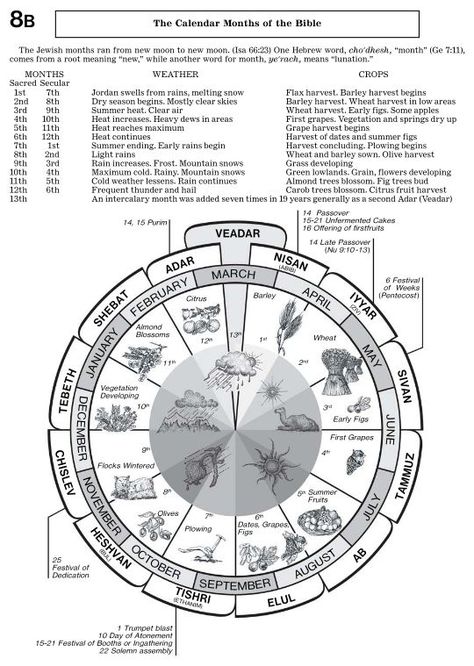 Hebrew Calendar, Hebrew Months, Prayer For Studying, Bible Genealogy, Hebrew Vocabulary, Hebrew Lessons, Lds Scriptures, Biblical Hebrew, Bible Study Topics