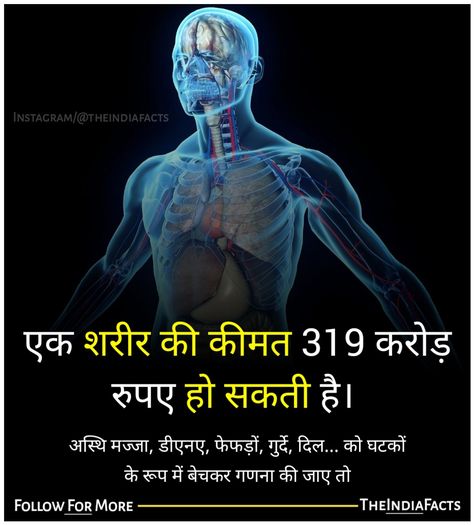 #rochaktathya #theindiafacts #gazabhindi #gk #hinditathya #fact #hindifact Fact About Human Body In Hindi, Human Body Facts In Hindi, Unknown Facts Hindi, Human Body Name, Famous Scientists Posters, Human Brain Facts, Fact Hindi, Interesting Facts About Humans, Gk Facts