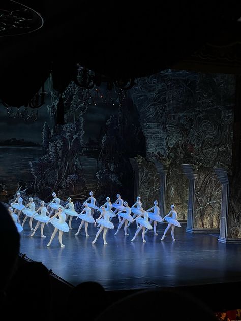 Sleeping Beauty Ballet, Art Academia, Swan Lake Ballet, Ballet Aesthetic, Ballet Inspiration, Ballet Theater, Nutcracker Ballet, Ballet Photography, Quiet Luxury