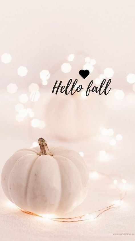 Hello Fall, Fall Wallpaper, Wallpapers, Iphone, Halloween, White