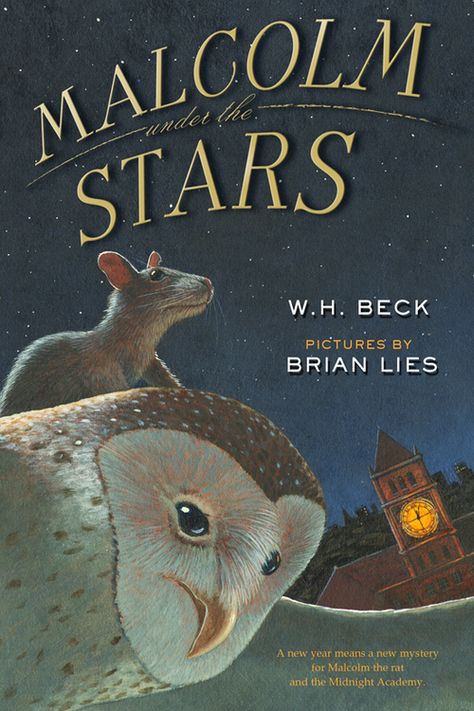 Malcolm Under the Stars by W.H. Beck, illustrated by Brian Lies Classroom Pets, Hidden Identity, Must Read Novels, Star W, Book Trailer, Books Young Adult, Rare Coins, Under The Stars, Childrens Art