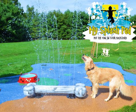 Captain loves the Dog Bone feature for this splash pad. A splash pad does not have to be for children, a dog can keep cool and hydrated with a backyard water park. Backyard Dog Playground, Water Park Ideas, Backyard Water Parks, Dog Backyard, Water Playground, Splash Park, Dog Hotel, Dog Yard, Dog Playground