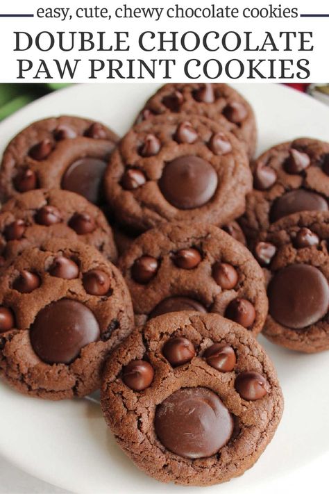 Double chocolate paw print cookies are as tasty as they are cute. They are built on a chewy chocolate blossom cookie with tasty chocolate paws on top. They are cute for Christmas, for pet lovers, as team mascot cookies, and more! Paw Shaped Cookies, Bear Paw Peanut Butter Blossom Cookies, Peanut Butter Paw Cookies, Peanut Butter Paw Print Cookies, Dog Paw Cookies, Dog Shaped Cookies, Dog Decorated Cookies, Animal Shaped Cookies, Wolf Cookies