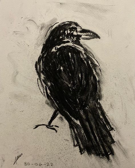 Croquis, Drawing Reference Photos Easy, Crow Charcoal Drawing, Charcoal Object Drawing, Crow Sketch Easy, White Colored Pencil Drawings On Black Paper, Charcoal Artwork Landscape, Charchol Art Aesthetic, Charcoal Reference Photo