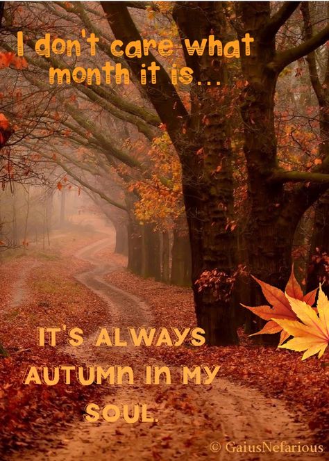 Autumn Sonata, Autumn Poems, All Things Fall, Fall Mood Board, Autumn Magic, Scenery Pictures, Yes It Is, Autumn Quotes, Fall Time