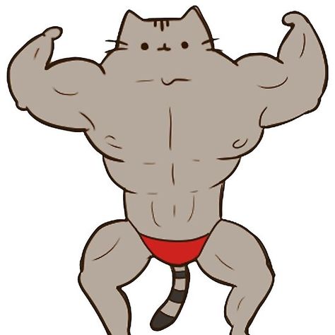 Gym Cartoon, Cat Gym, Illustrated Words, Cat Emoji, Cat Doodle, Kitty Drawing, Hello Kitty Drawing, Cat Pose, Cat Character