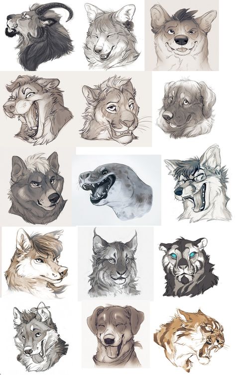 Snow Tiger, Leopard Seal, Dog Expressions, Canine Drawing, Dog Sketch, Online Gallery, The London, The View, Pets Cats