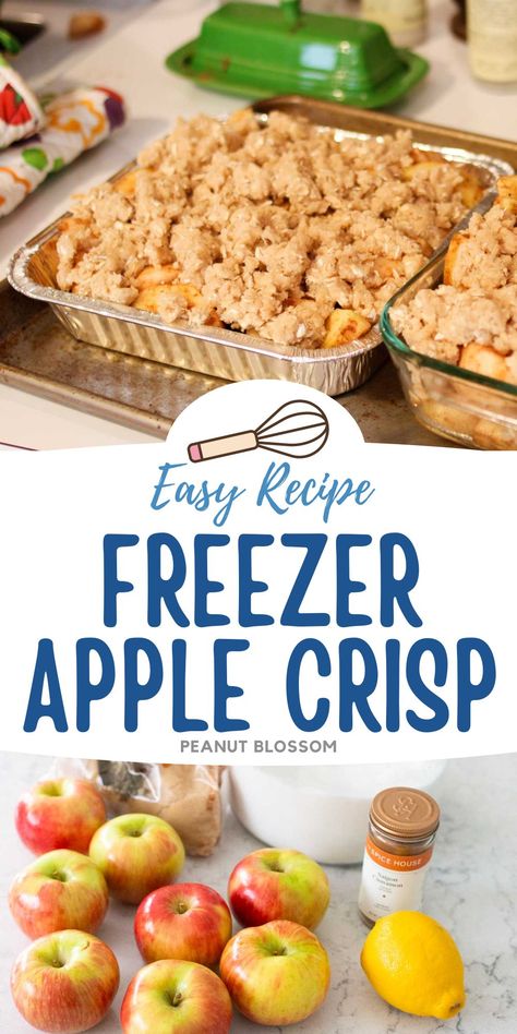 This easy apple crisp recipe is perfect for freezing. Split it in half and make two smaller pans so you have one for dessert tonight and one to save for Thanksgiving or giving to a friend. It's the perfect recipe for baking with kids. Fresh Apple Desserts Easy 3 Ingredients, Freezer Friendly Apple Crisp, Freezing Apple Crisp Filling, Freezer Apple Crisp Filling, Apple Crisp Recipe Freezer, Can You Freeze Apple Crisp, Apple Desserts You Can Freeze, Freezer Apple Crisp Recipe, Apple Crisp To Freeze