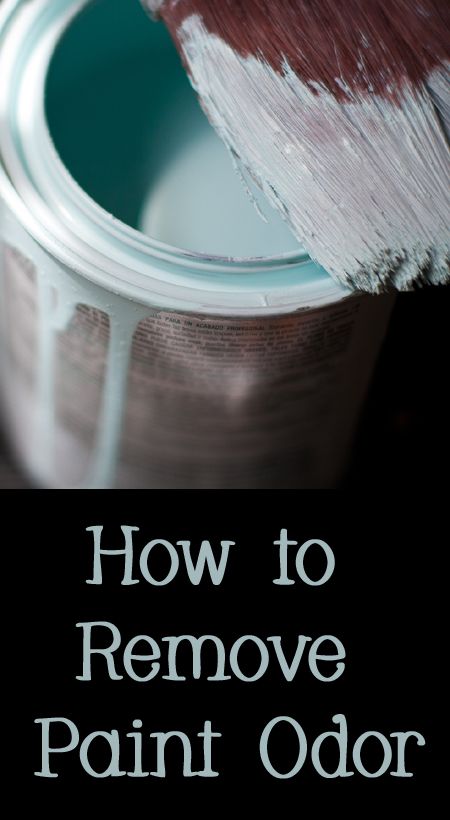 That stinky paint smell is not just annoying, it is actually hazardous chemicals that you are breathing into your body. Would you like to get rid of stinky paint smell? Here are some options. How To Get Rid Of Paint Smell In House, How To Remove Paint, Paint Smell, Painted Sofa, Remove Paint, Gallon Of Paint, Easy Cleaning Hacks, Remove Toxins, Room Smells