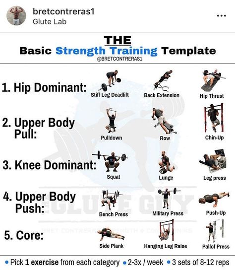 Strong Curves Program, Bret Contreras Workout, Bret Contreras Glutes, Basic Strength Training, Glute Program, Training Template, Bret Contreras, Strong Curves, Workout Template