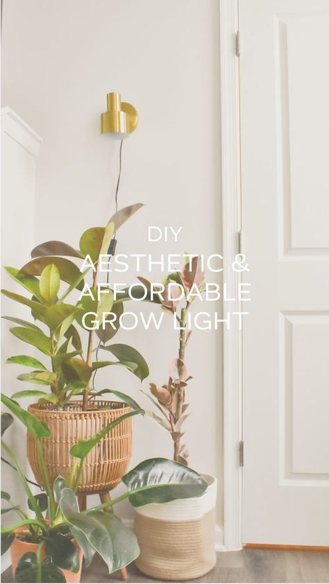 This is my go to way to add grow lights around my house in an affordable & aesthetic way. It only takes a few minutes to set up and it… | Instagram Cute Grow Light Setup, Diy Grow Light Indoor Plants, Aesthetic Grow Light, Aesthetic Grow Light Set Up, Grow Light Set Up, Plant Lights Indoor Setup, Plant Lamps, Grow Lights Diy, Plant Lights