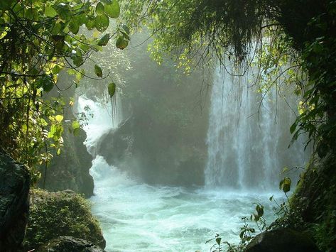 Mother Nature, Forest Waterfall, Water Aesthetic, Nature Aesthetic, Mexico Travel, Beautiful Places To Visit, Pretty Places, Most Beautiful Places, Beautiful World