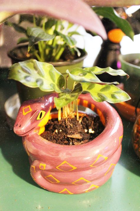 Diy Clay Plant Pots Aesthetic, How To Clay Art, Witchy Plant Pots, Clay Plant Decorations, Pot Clay Art, Clay Plant Accessories, Diy Clay Plant Pots, Clay Witchy Crafts, Clay Flower Pots Ideas