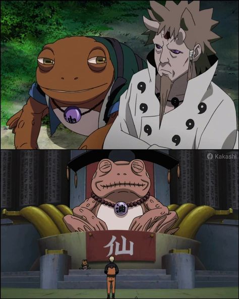 Naruto Toad, Toad Sage, Naruto Sage, Naruto Wallpapers, Thanks To You, Naruto Shippuden Characters, Naruto Wallpaper, Toad, Naruto Uzumaki