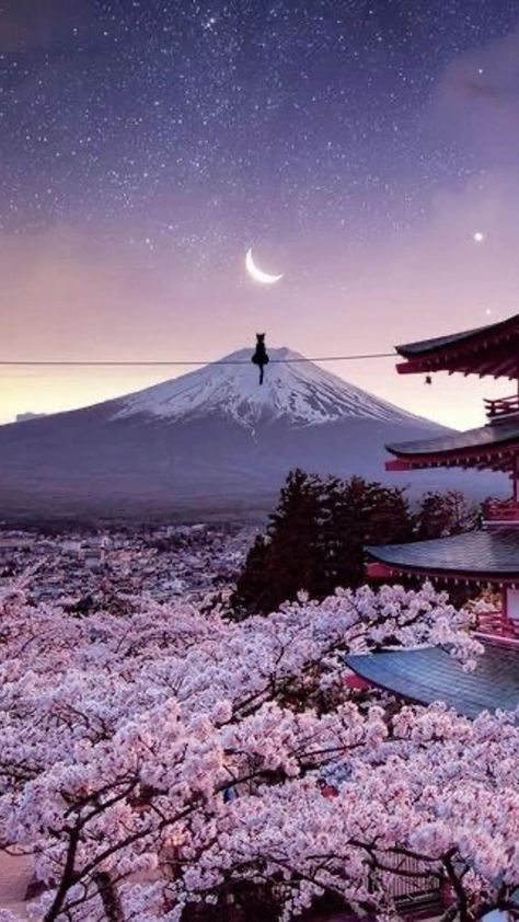 Gunung Fuji, Japanese Wallpaper, Japanese Wallpaper Iphone, Fuji Japan, Mountain Aesthetic, Cherry Blossom Japan, Monte Fuji, Wallpaper Estetika, Japan Landscape