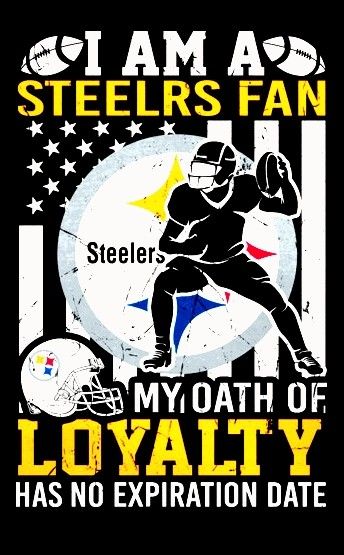 Steelers Images, Lynn Swann, Pittsburgh Steelers Wallpaper, Steelers Pics, Steelers Country, Steelers Baby, Pittsburgh Steelers Logo, Steelers Girl, Go Steelers