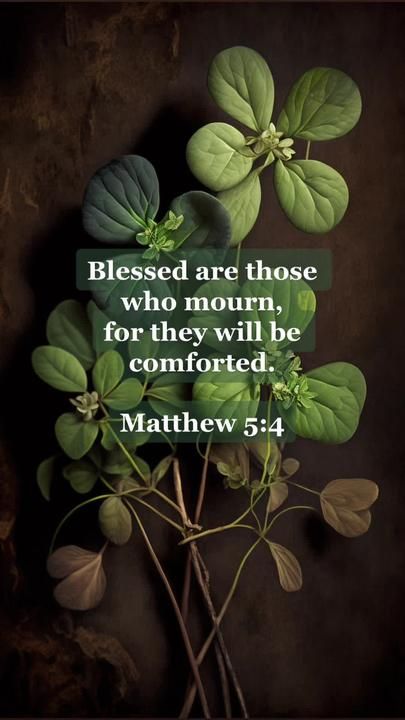 You are blessed ✝️ Matthew 5:4 #thebeatitudes #bible #blessingsofGod #... | TikTok Matthew 5 4, Bible Verses Kjv, Matthew 5, Blessed Are Those, Jesus Faith, Christian Messages, In Christ Alone, Biblical Verses, You Are Blessed