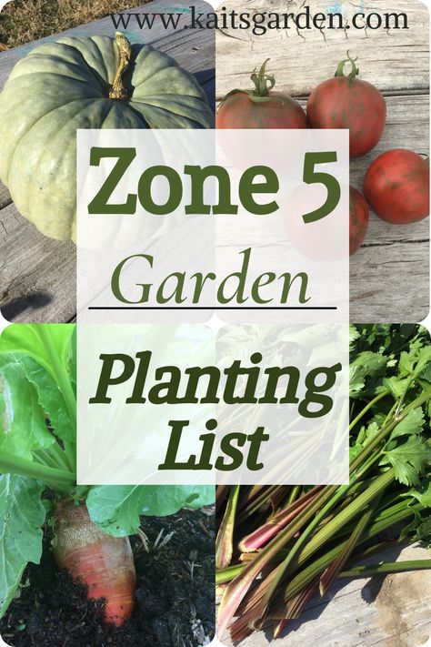 Homesteading Zone 5, Zone 5b Gardening Vegetables, Plants For Zone 5b Garden Ideas, 5b Planting Guide, Growing Calendar Zone 5b, Michigan Planting Calendar, Vegetable Garden Zone 5, Zone 5 Vegetable Garden Layout, Gardening In Missouri